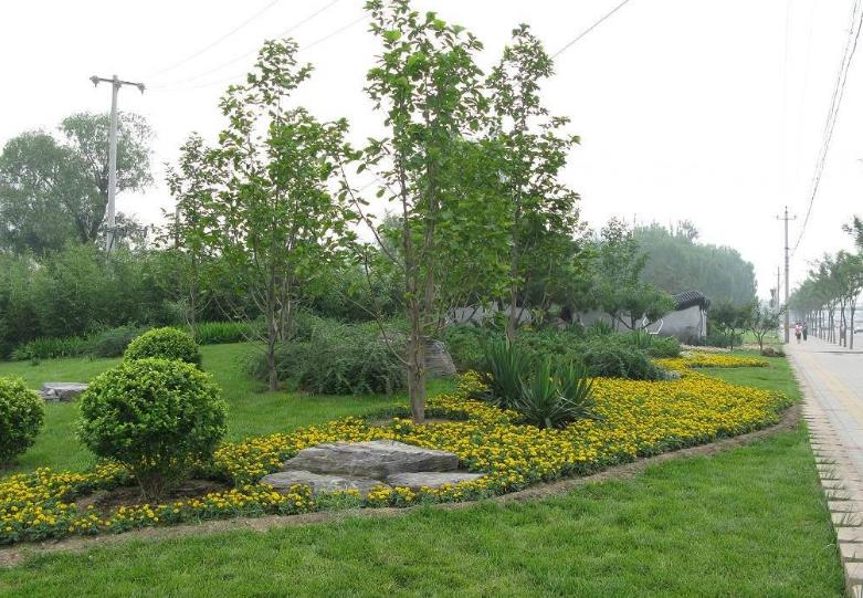 园林绿化工程类别是怎么划分的?(图3)